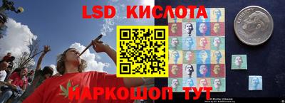 скорость Дубна