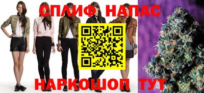 гашик Донецк