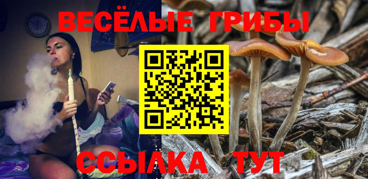 Галлюциногенные грибы Magic Shrooms Краснокамск