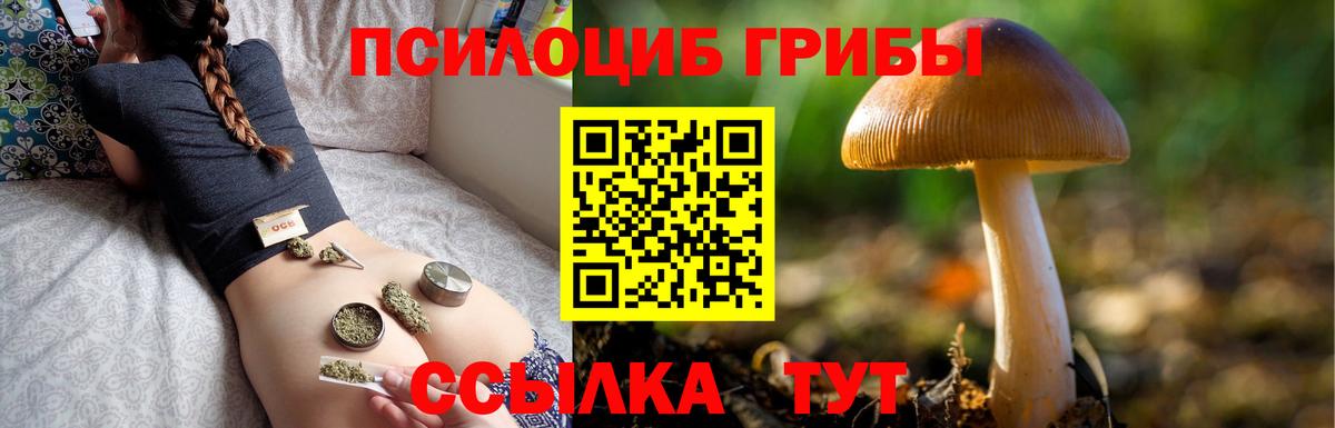 Краснокамск  Галлюциногенные грибы GOLDEN TEACHER  Вход с VPN 